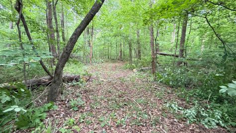 0 Murphy Hollow Road Trenton GA 30752
