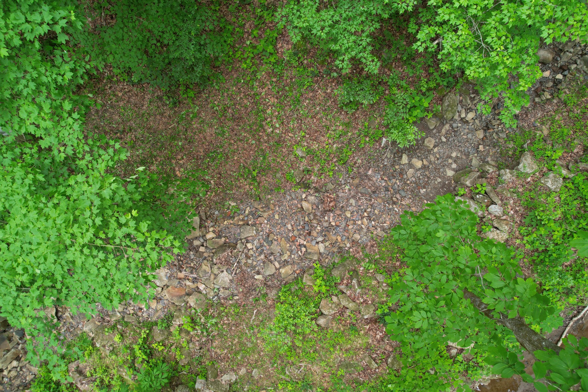 0 Murphy Hollow Road Trenton GA 30752