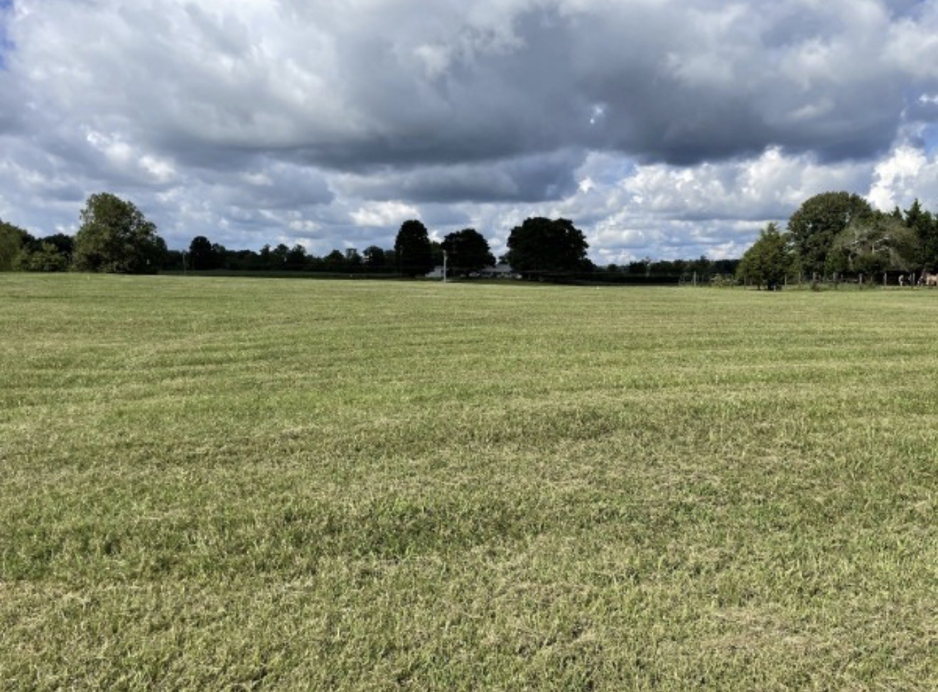 0 Boro Circle Hillsboro TN 37342