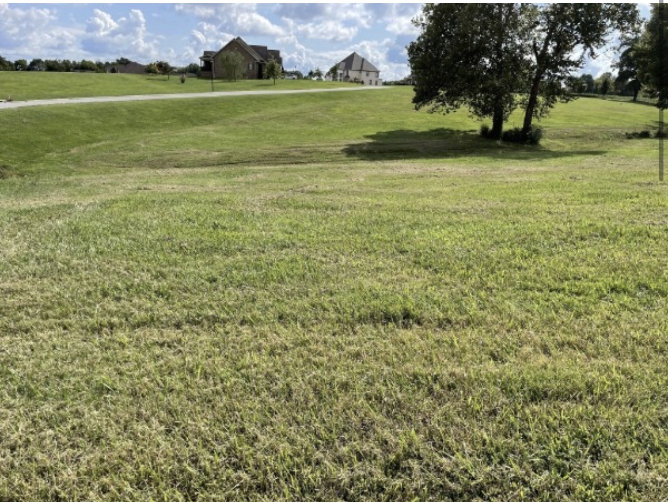 0 Boro Circle Hillsboro TN 37342