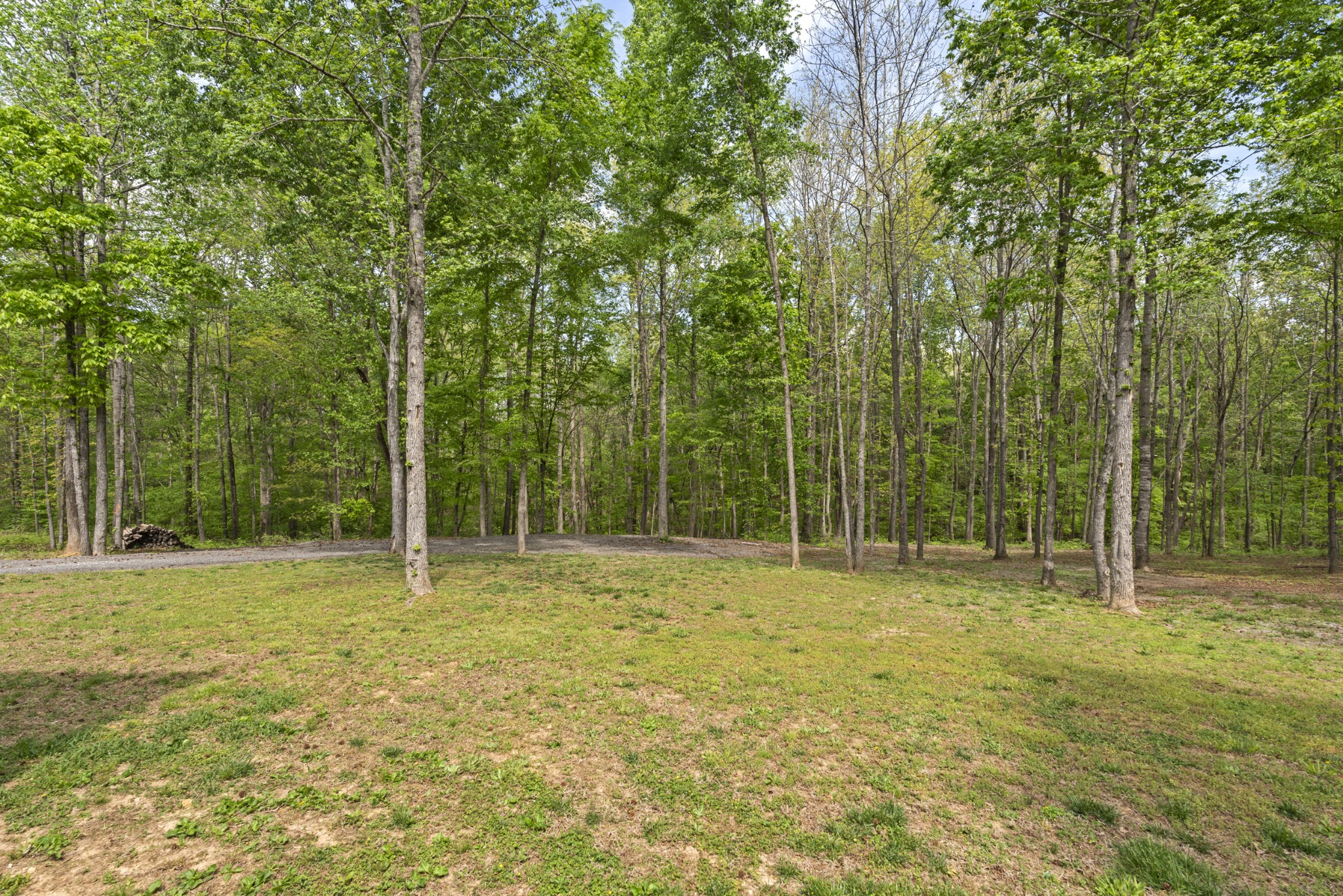 1241 Harmon Springs Road Dickson TN 37055