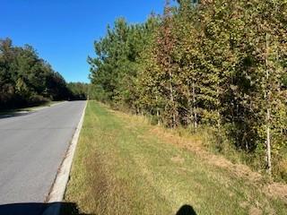 0 Seminole Lane Manchester TN 37355