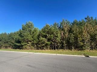 0 Seminole Lane Manchester TN 37355