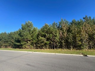0 Seminole Lane Manchester TN 37355