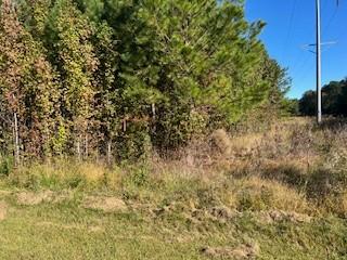 0 Seminole Lane Manchester TN 37355