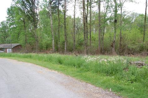 66 51st Avenue Gruetli Laager TN 37339