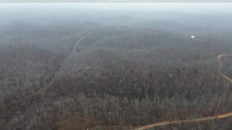 0 Rolling Hills Road Lobelville TN 37097