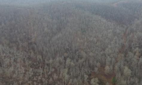 0 Rolling Hills Road Lobelville TN 37097