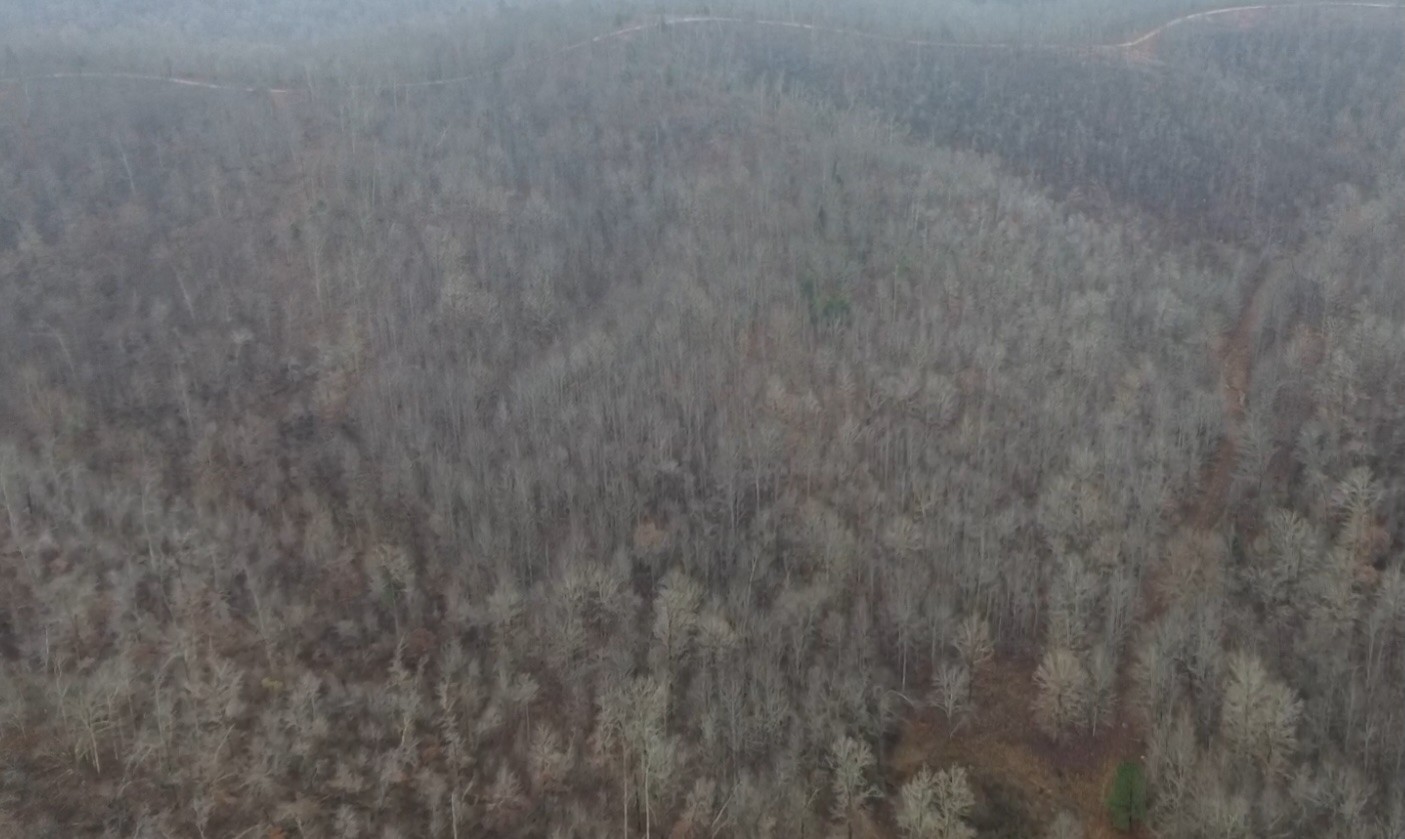 0 Rolling Hills Road Lobelville TN 37097