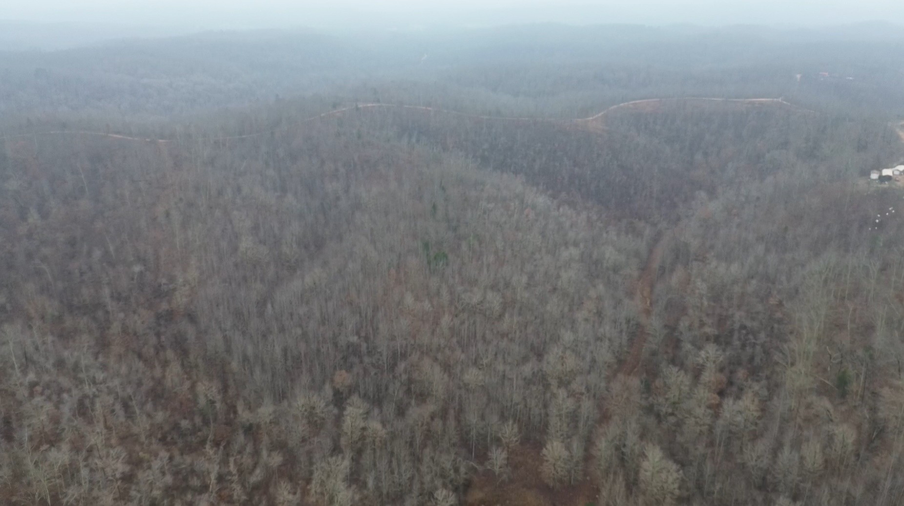 0 Rolling Hills Road Lobelville TN 37097