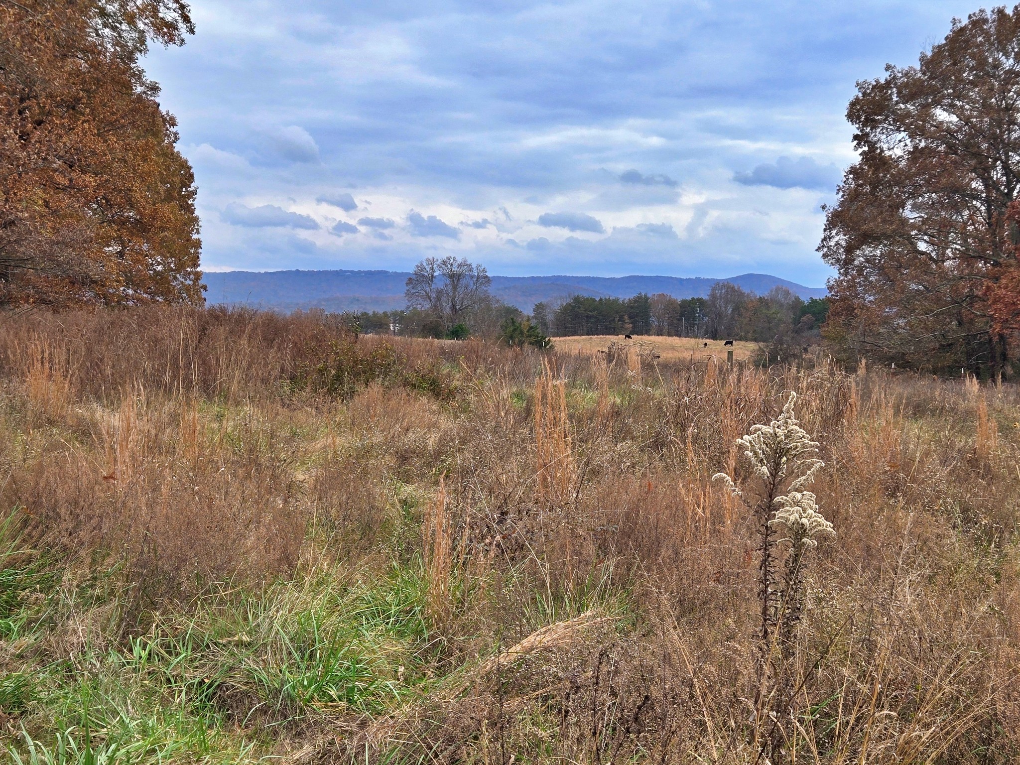 0 Hidden River Road Rock Island TN 38581
