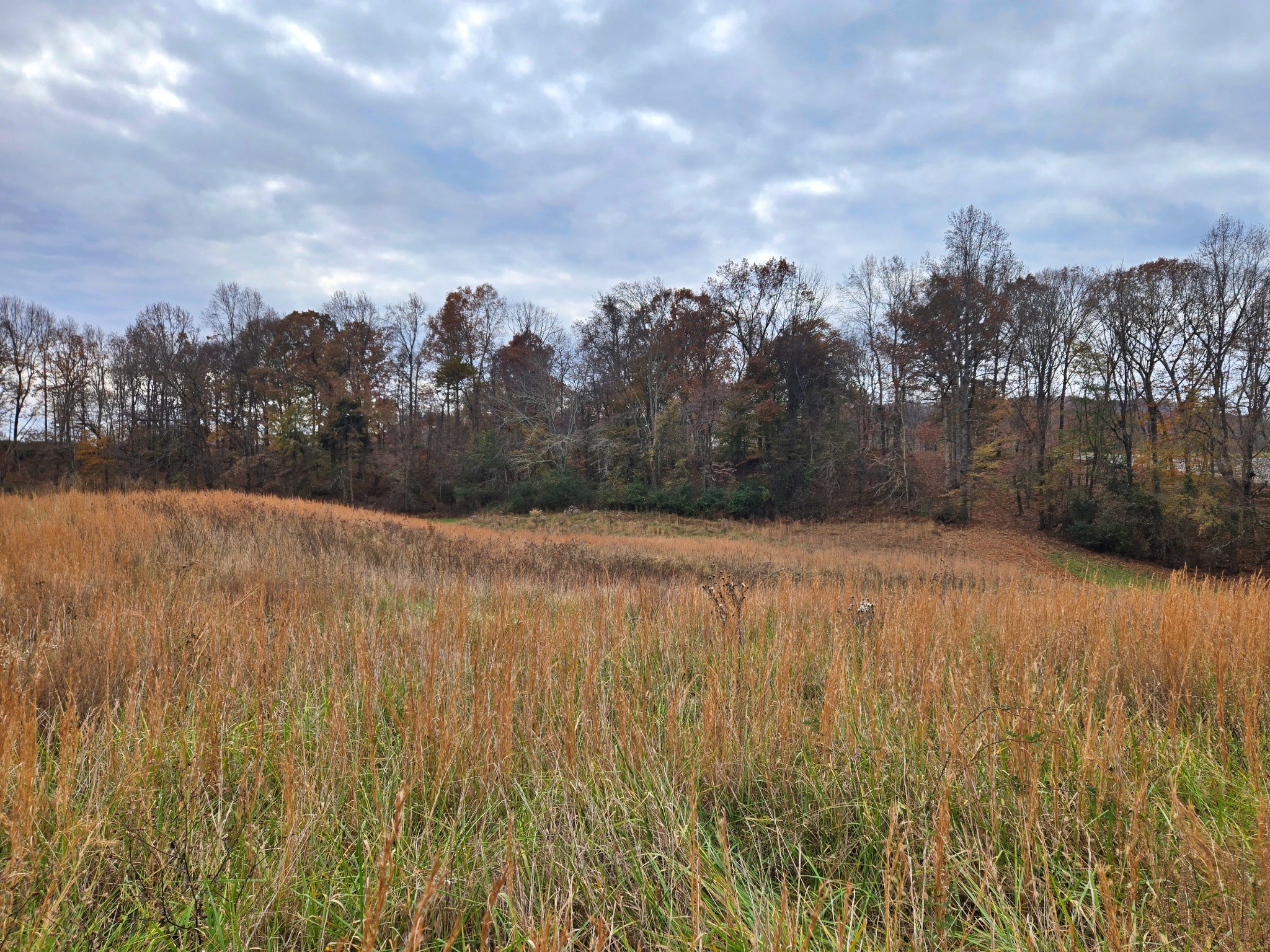 0 Hidden River Road Rock Island TN 38581