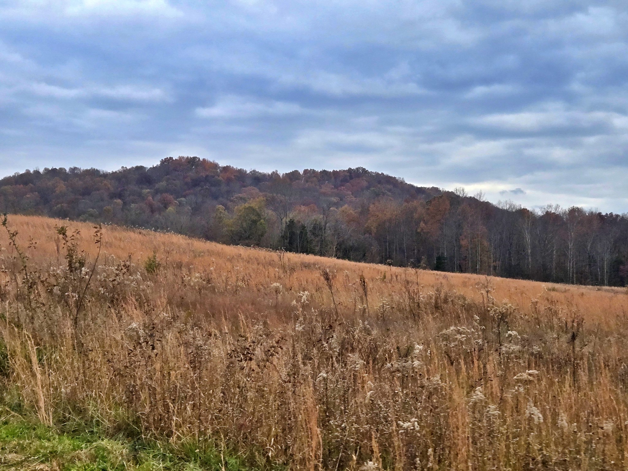 0 Hidden River Road Rock Island TN 38581