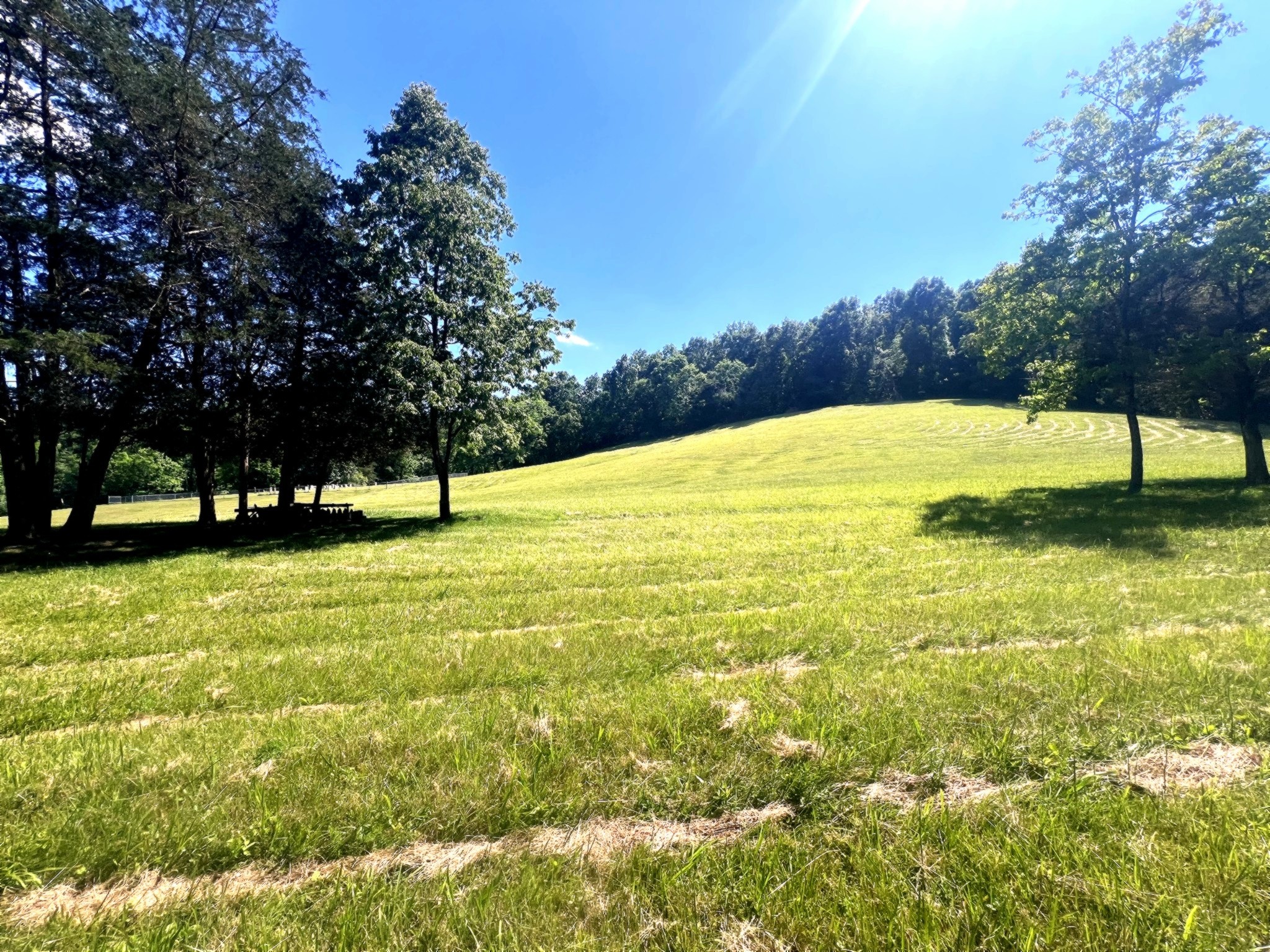1133 Culps Bend Road Clifton TN 38425