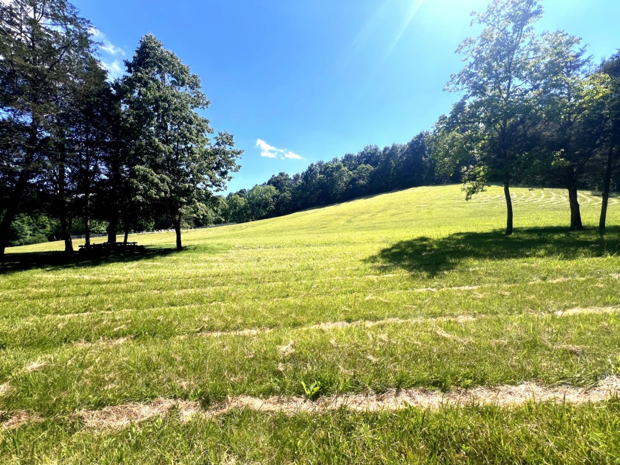 1133 Culps Bend Road Clifton TN 38425