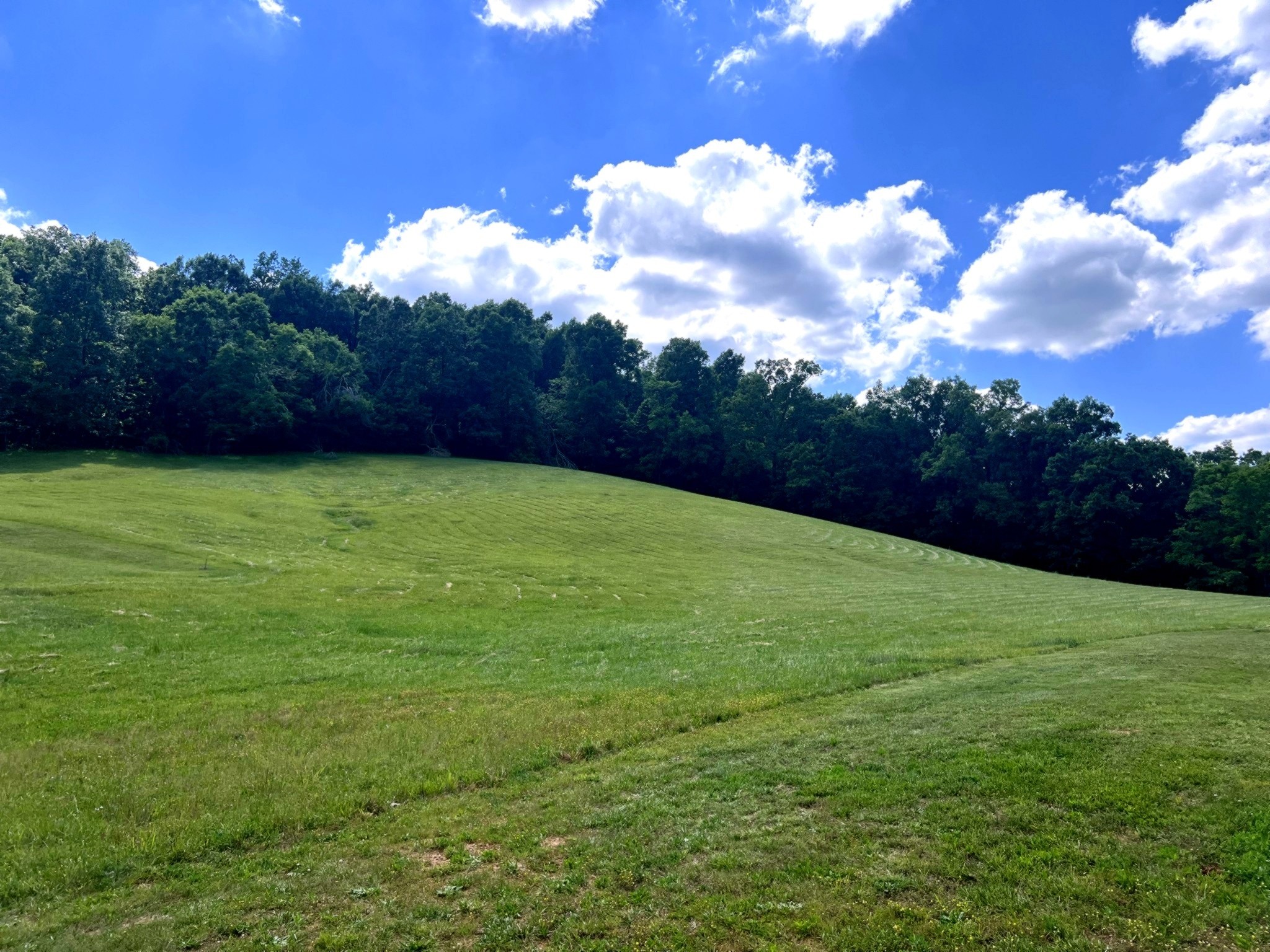 1133 Culps Bend Road Clifton TN 38425