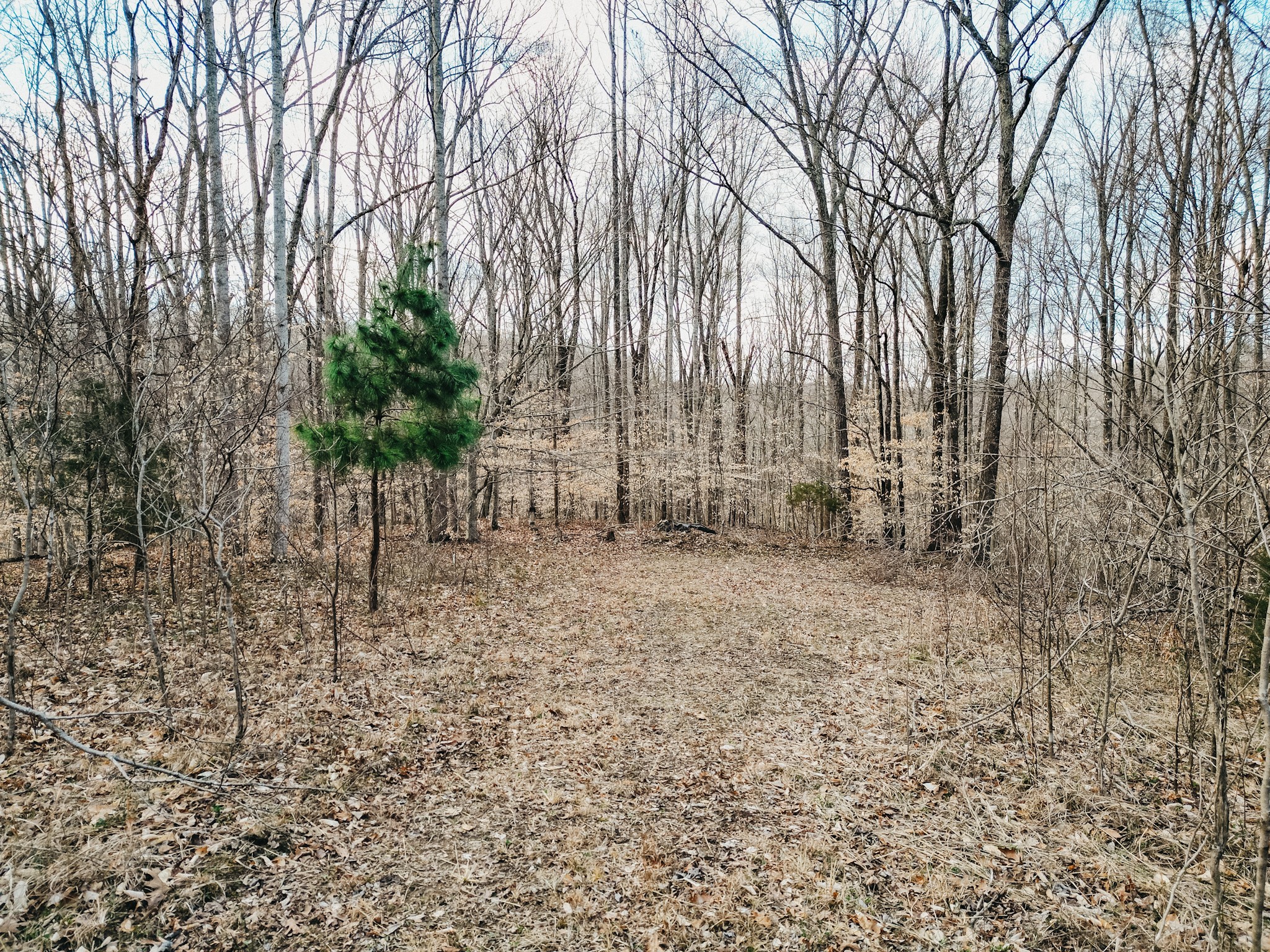 0 Parker Branch & Mt Laura Lane Franklin TN 37064