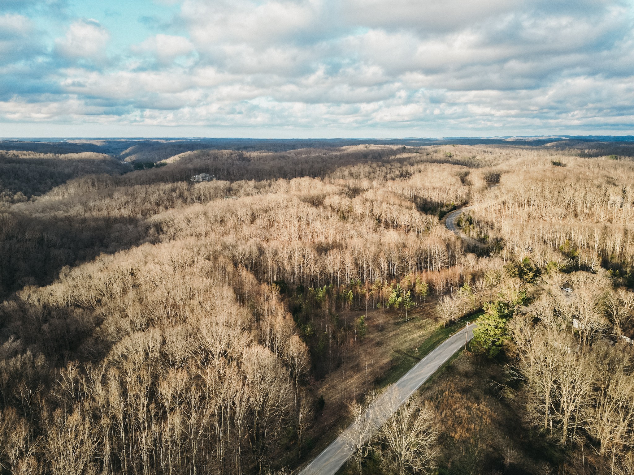 0 Parker Branch & Mt Laura Lane Franklin TN 37064