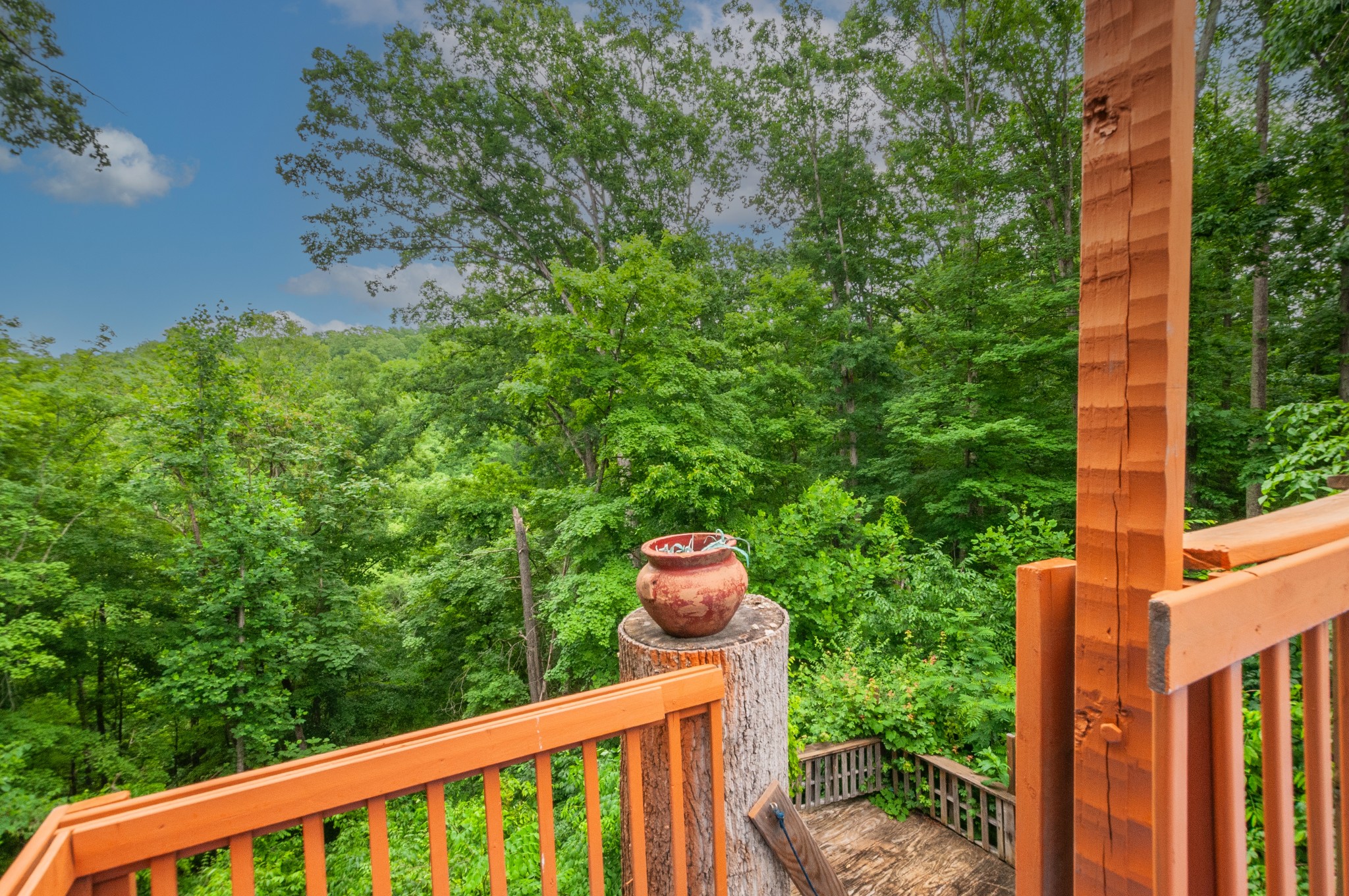 4484 Beech Nut Court Pegram TN 37143