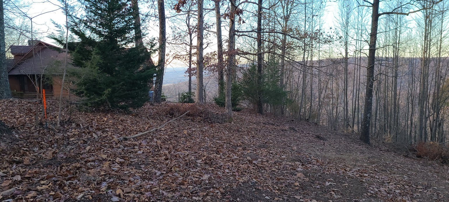1010 N Bluff Circle Monteagle TN 37356