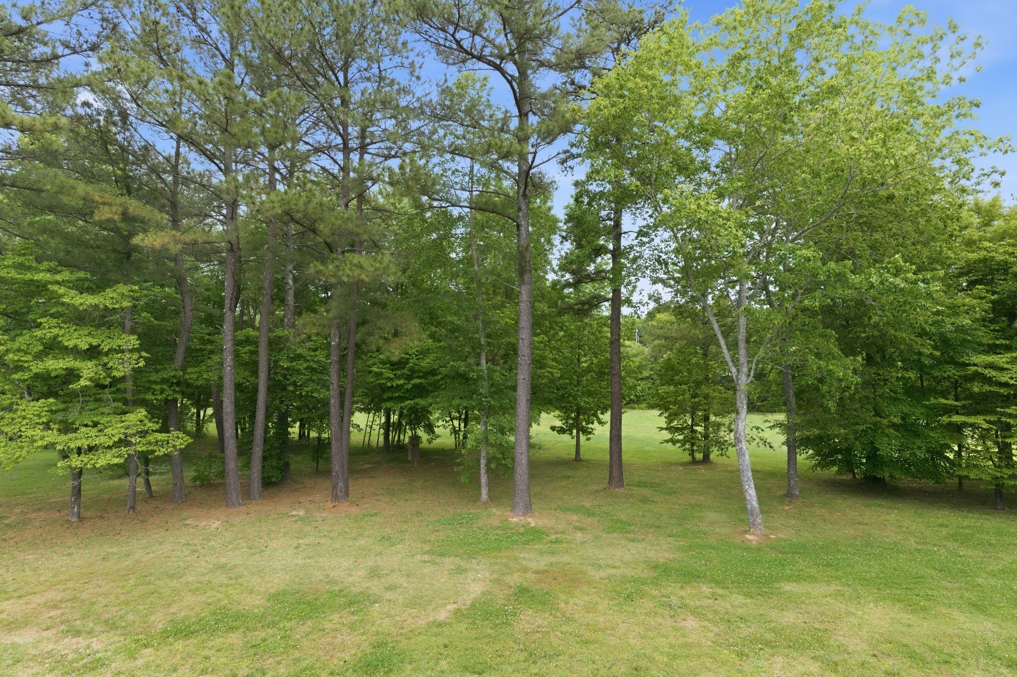 528 Country Club Drive Dickson TN 37055