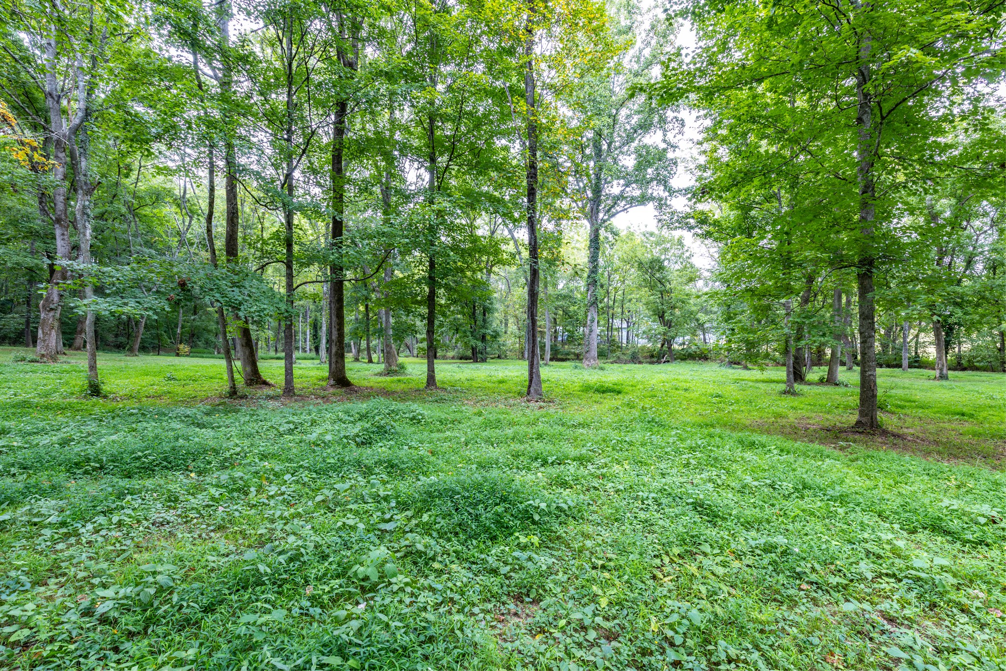 1502 New Deal Potts Road Portland TN 37148