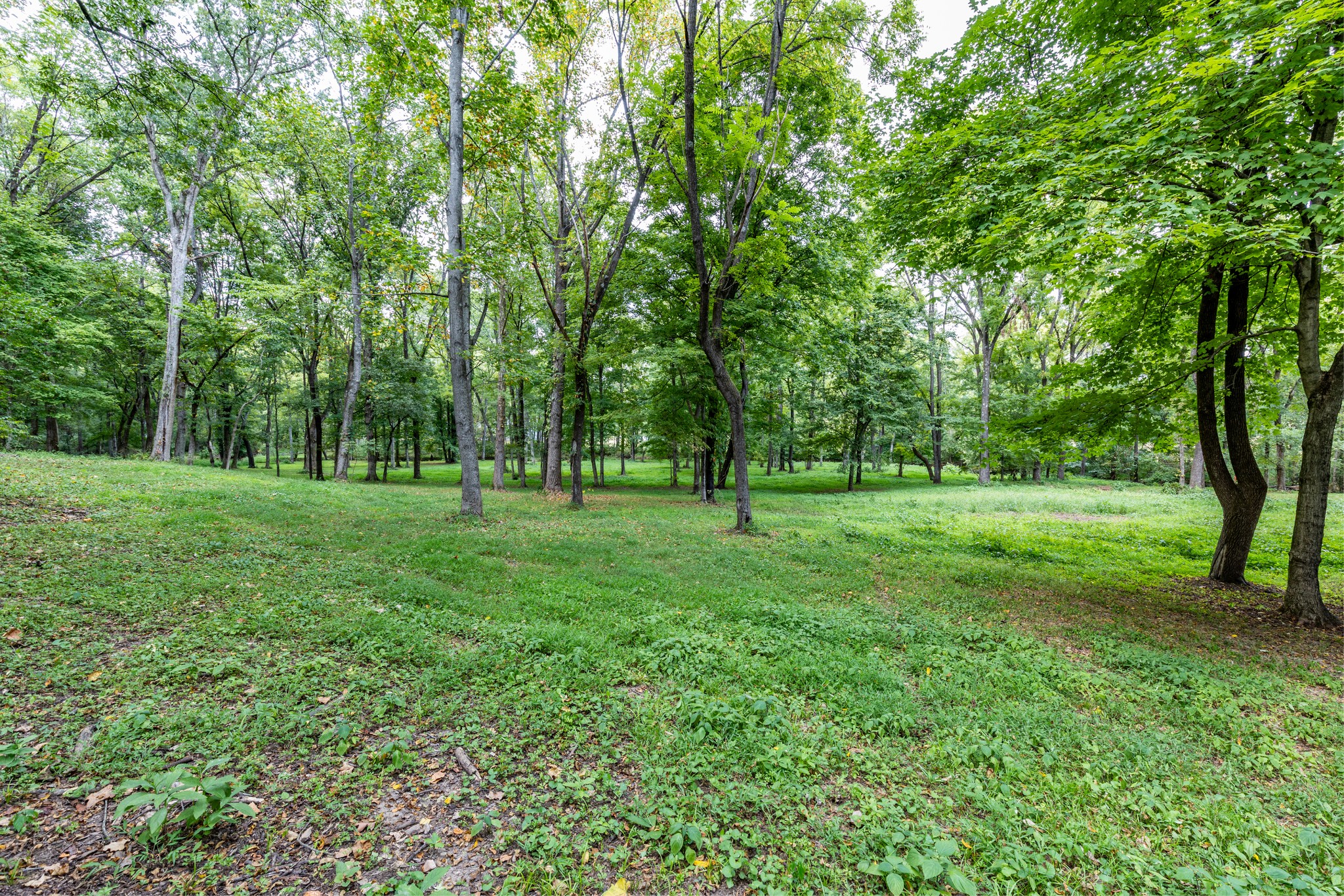 1502 New Deal Potts Road Portland TN 37148