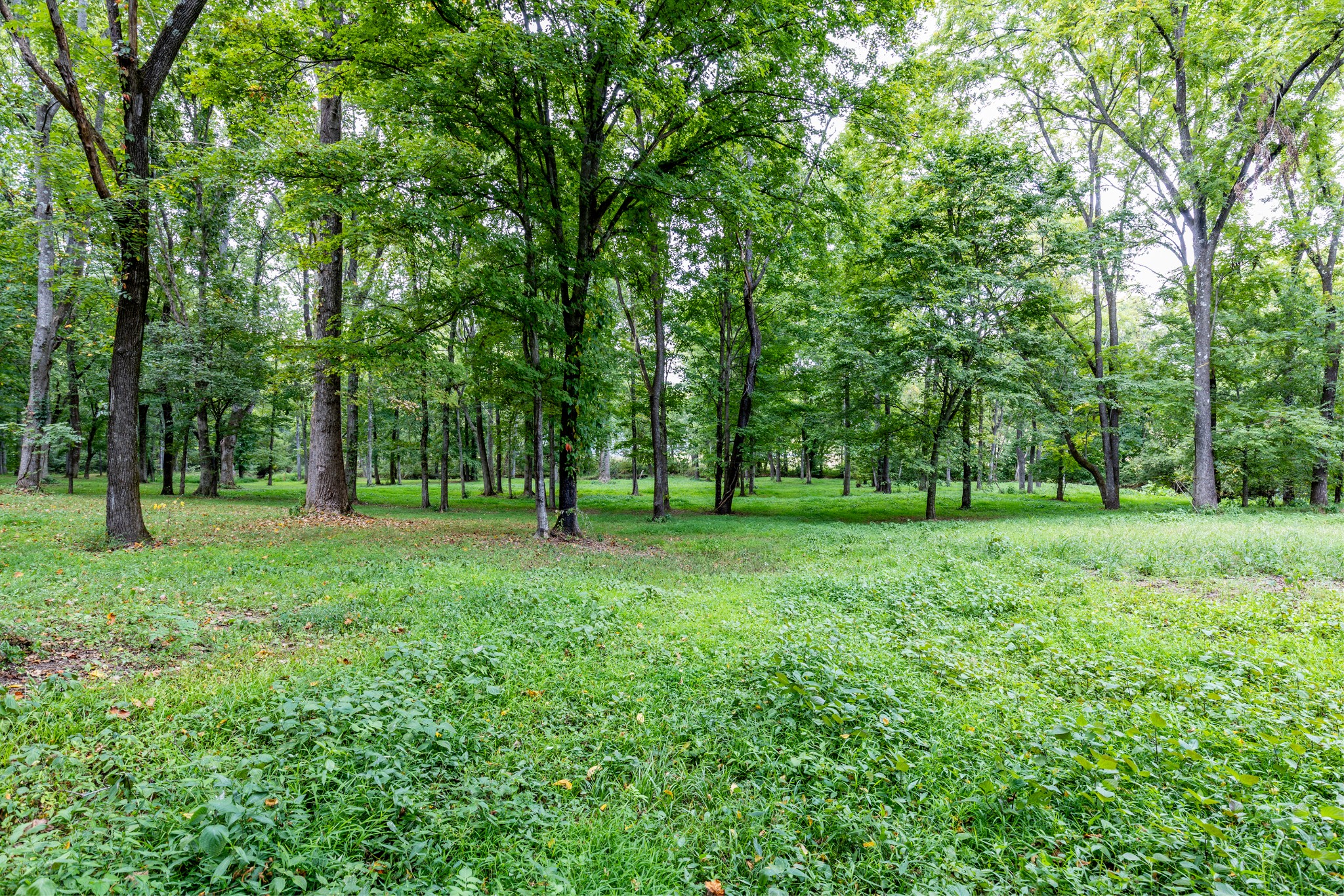 1502 New Deal Potts Road Portland TN 37148