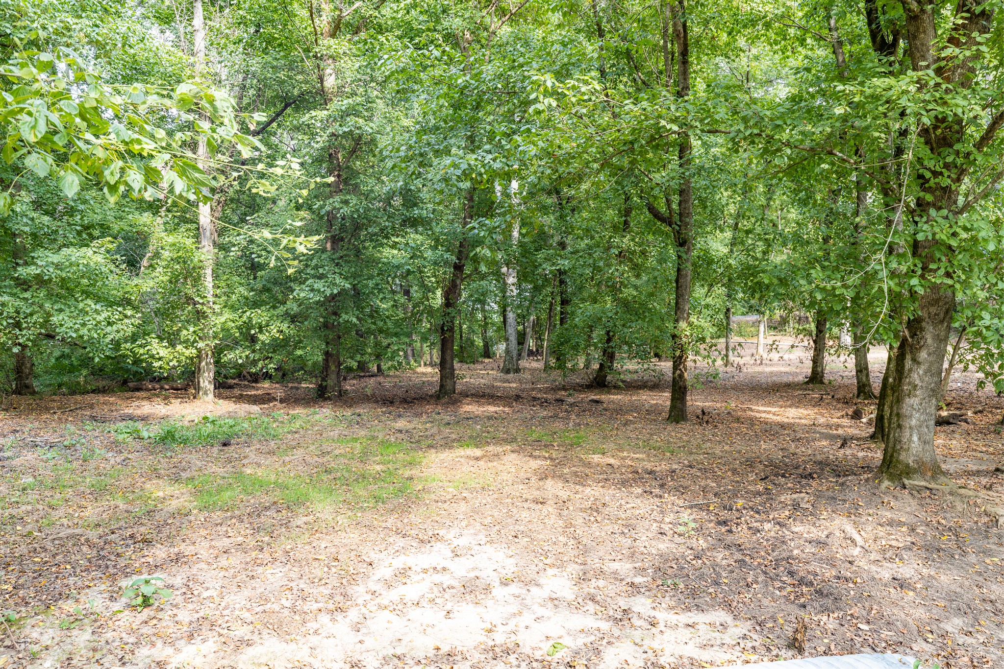 1502 New Deal Potts Road Portland TN 37148