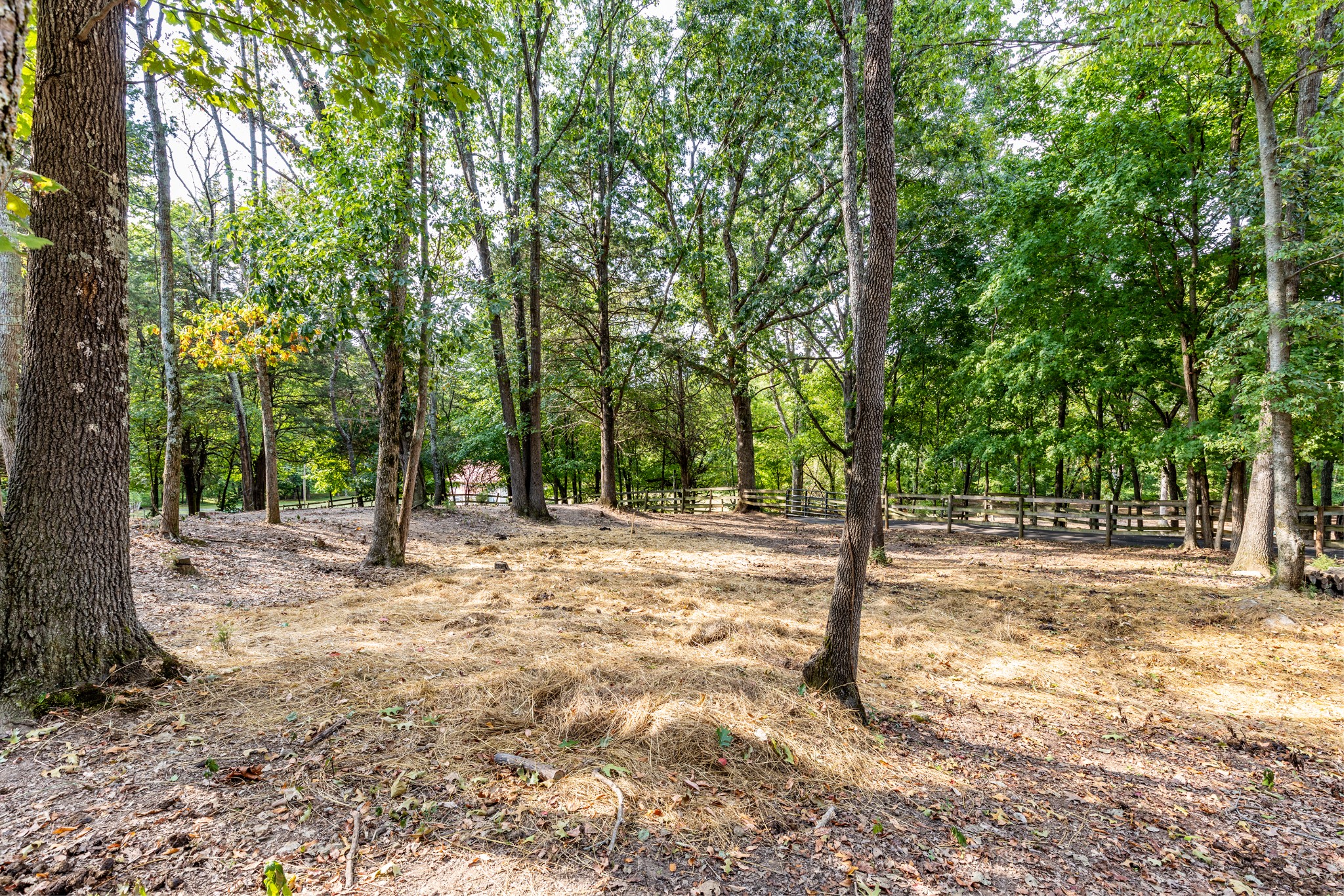 1502 New Deal Potts Road Portland TN 37148