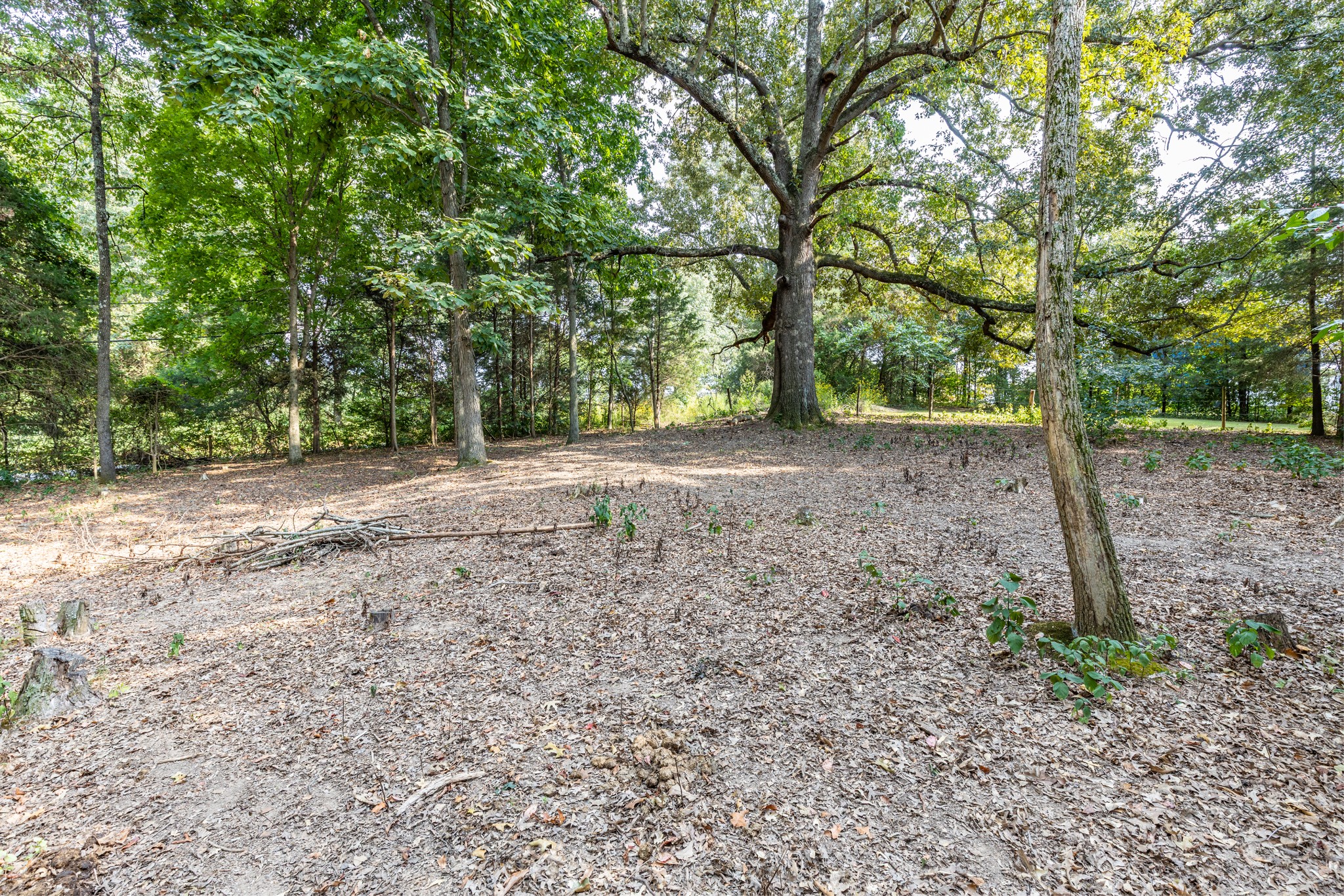 1502 New Deal Potts Road Portland TN 37148