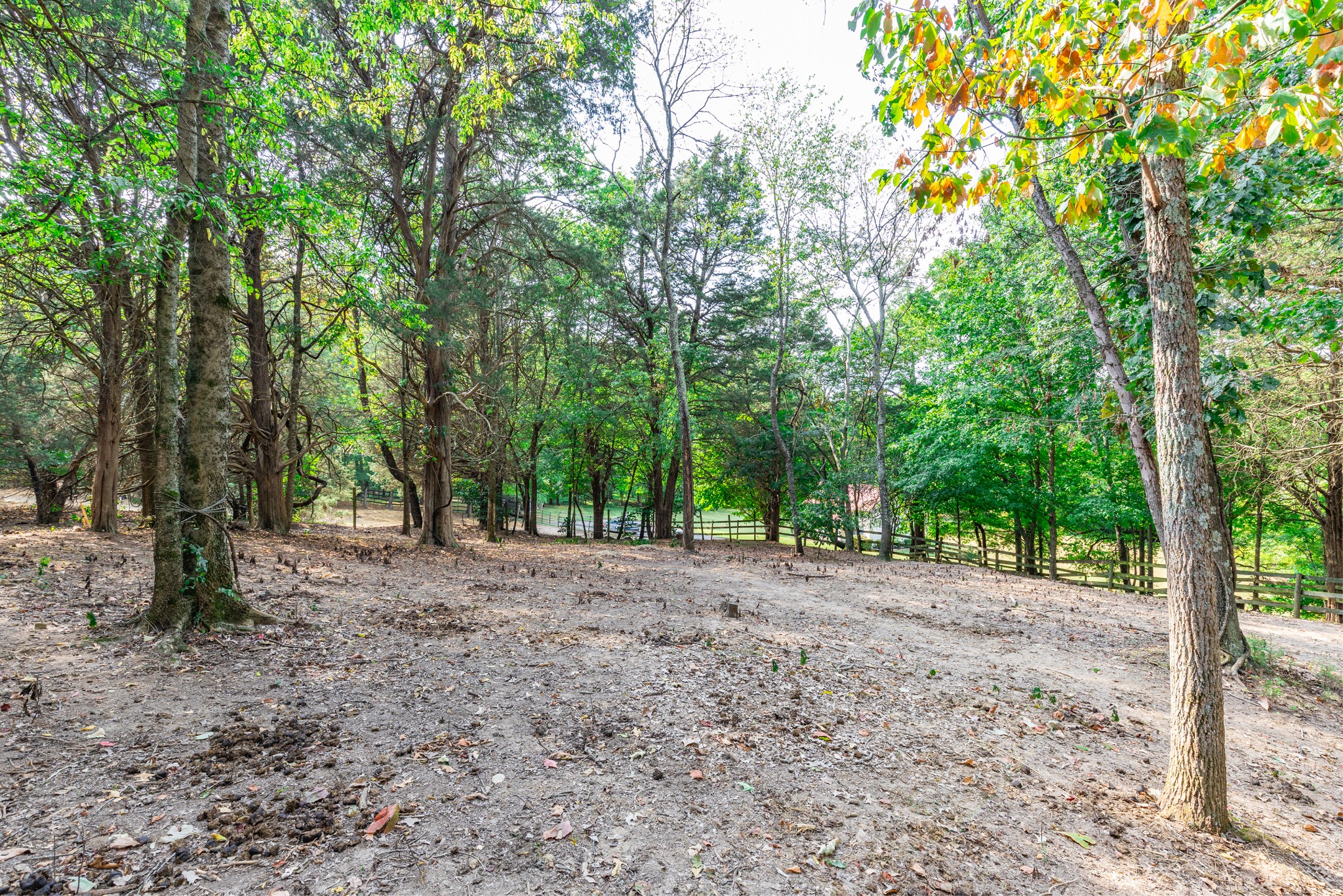 1502 New Deal Potts Road Portland TN 37148