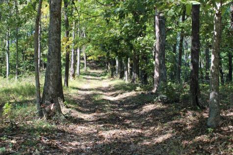 5071 Old Highway 52 Lafayette TN 37083