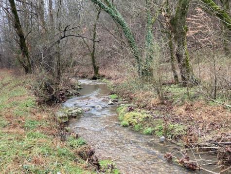 5071 Old Highway 52 Lafayette TN 37083
