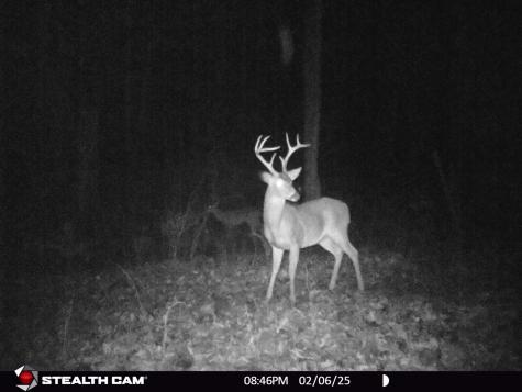 5071 Old Highway 52 Lafayette TN 37083