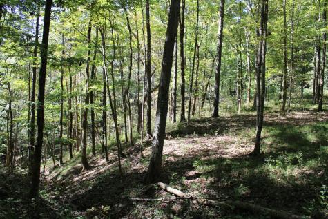 5071 Old Highway 52 Lafayette TN 37083