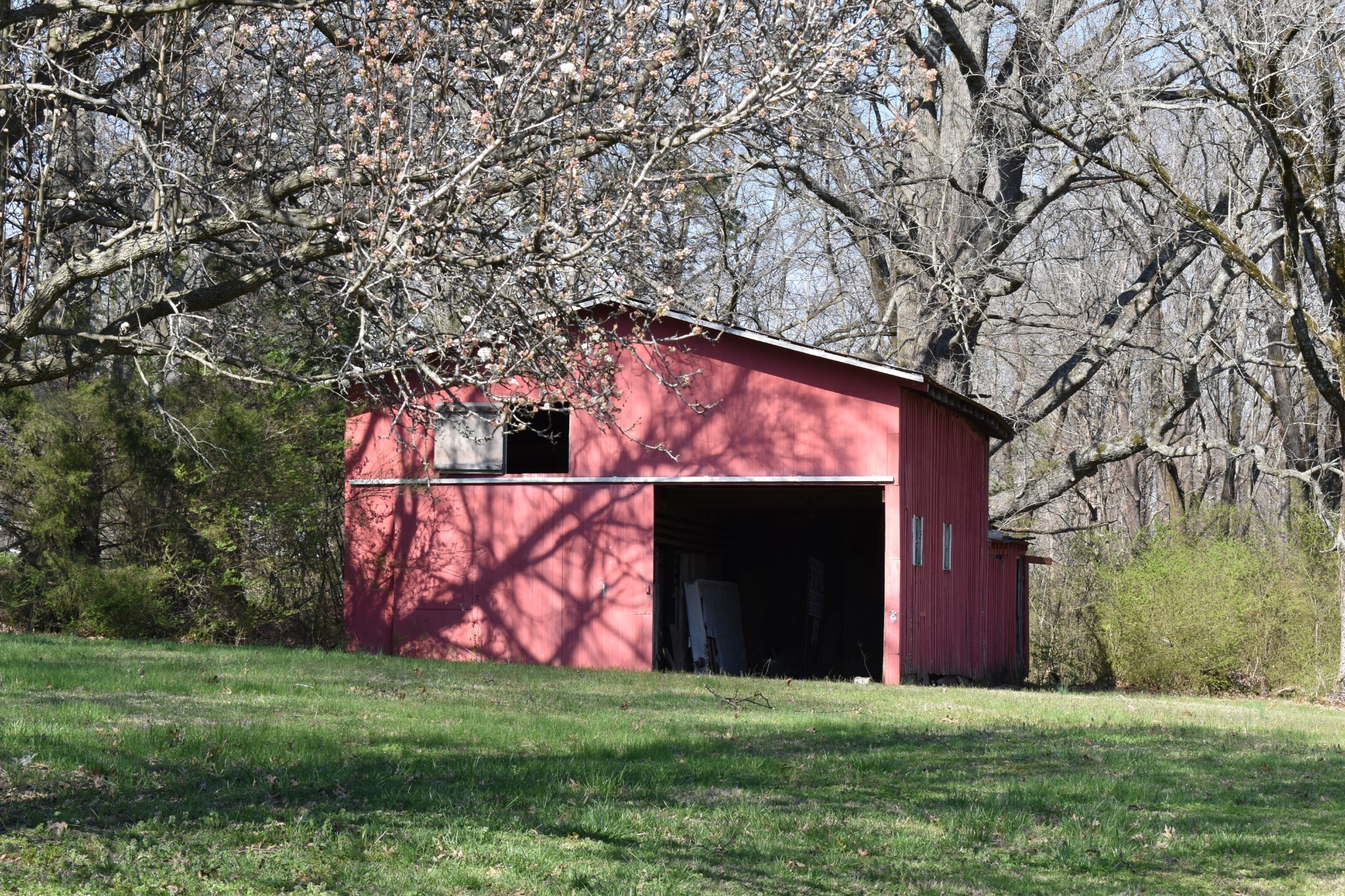 217 Bear Creek Pike Columbia TN 38401