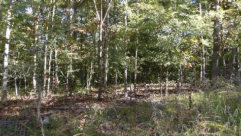 0 Inland Court Sparta TN 38583