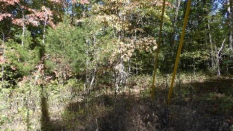 0 Inland Court Sparta TN 38583