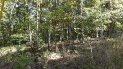 0 Inland Court Sparta TN 38583