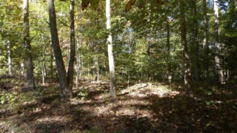 0 Inland Court Sparta TN 38583