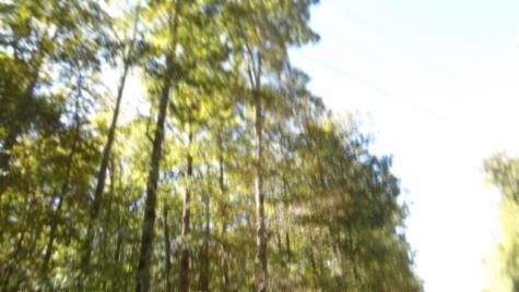 0 Inland Court Sparta TN 38583