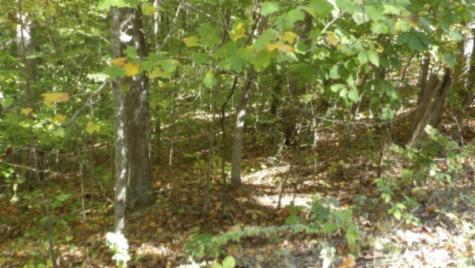 0 Inland Court Sparta TN 38583