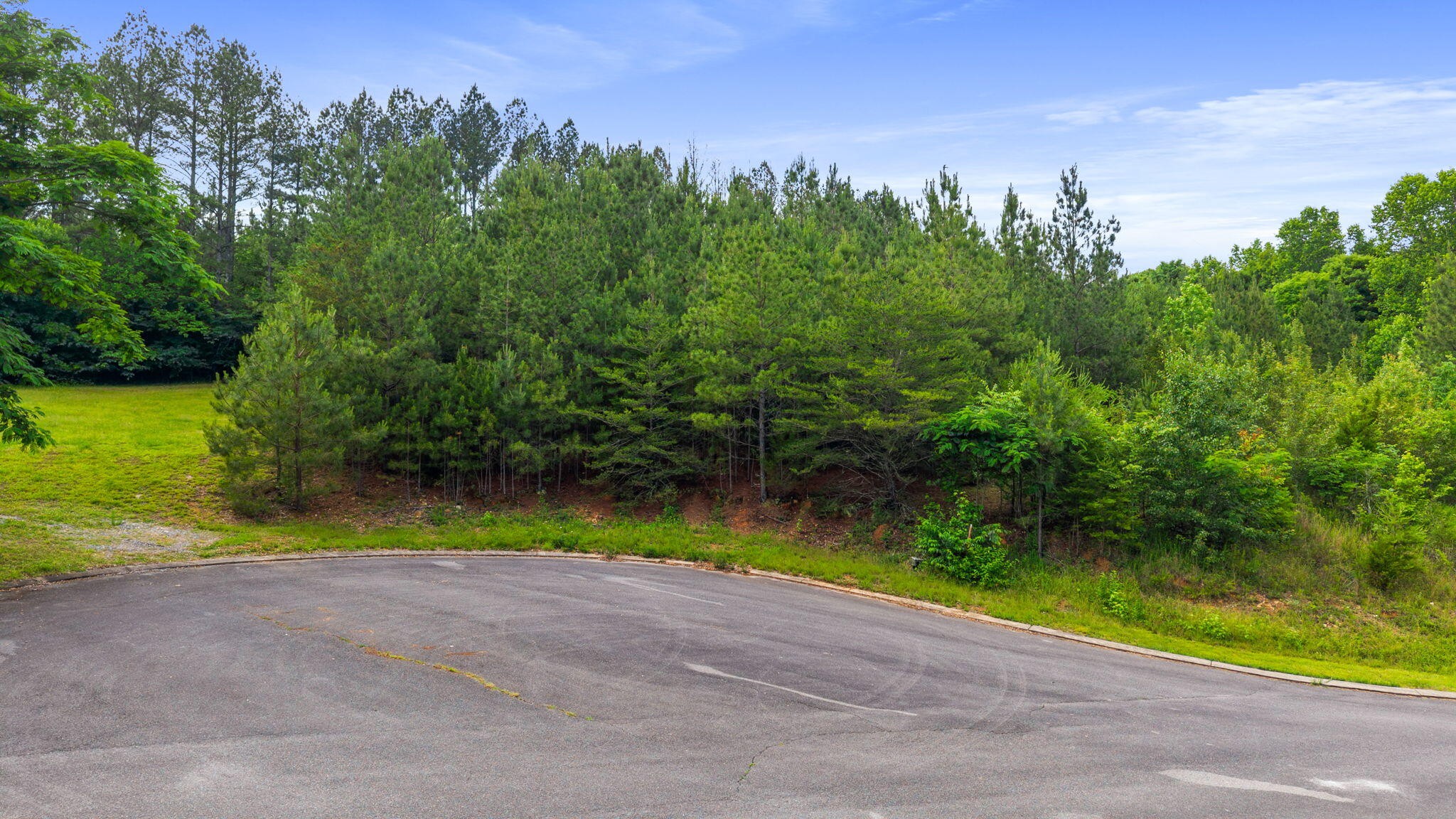 9 County Road 8 Calhoun TN 37309