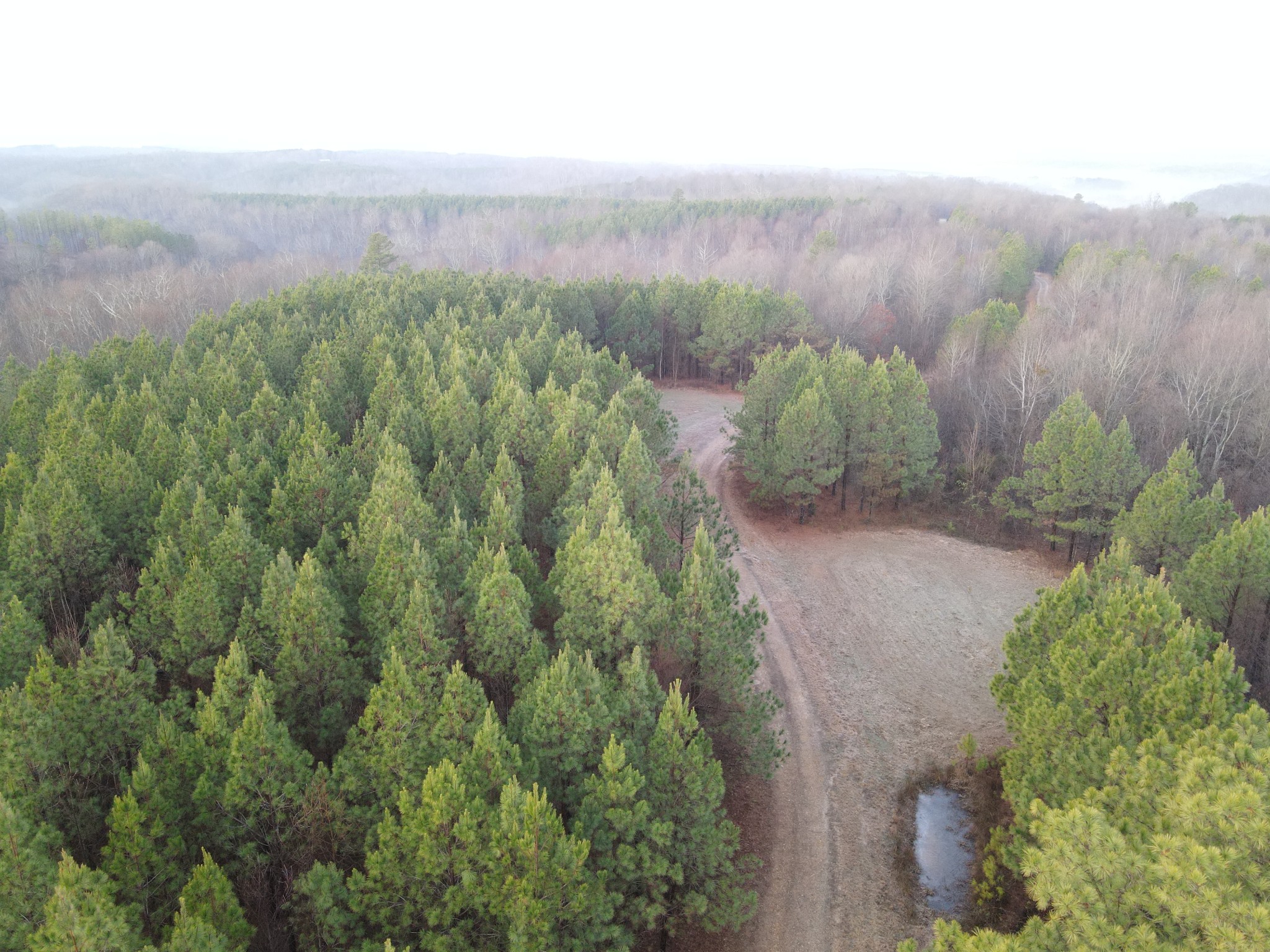 0 North Fork Stewart TN 37175