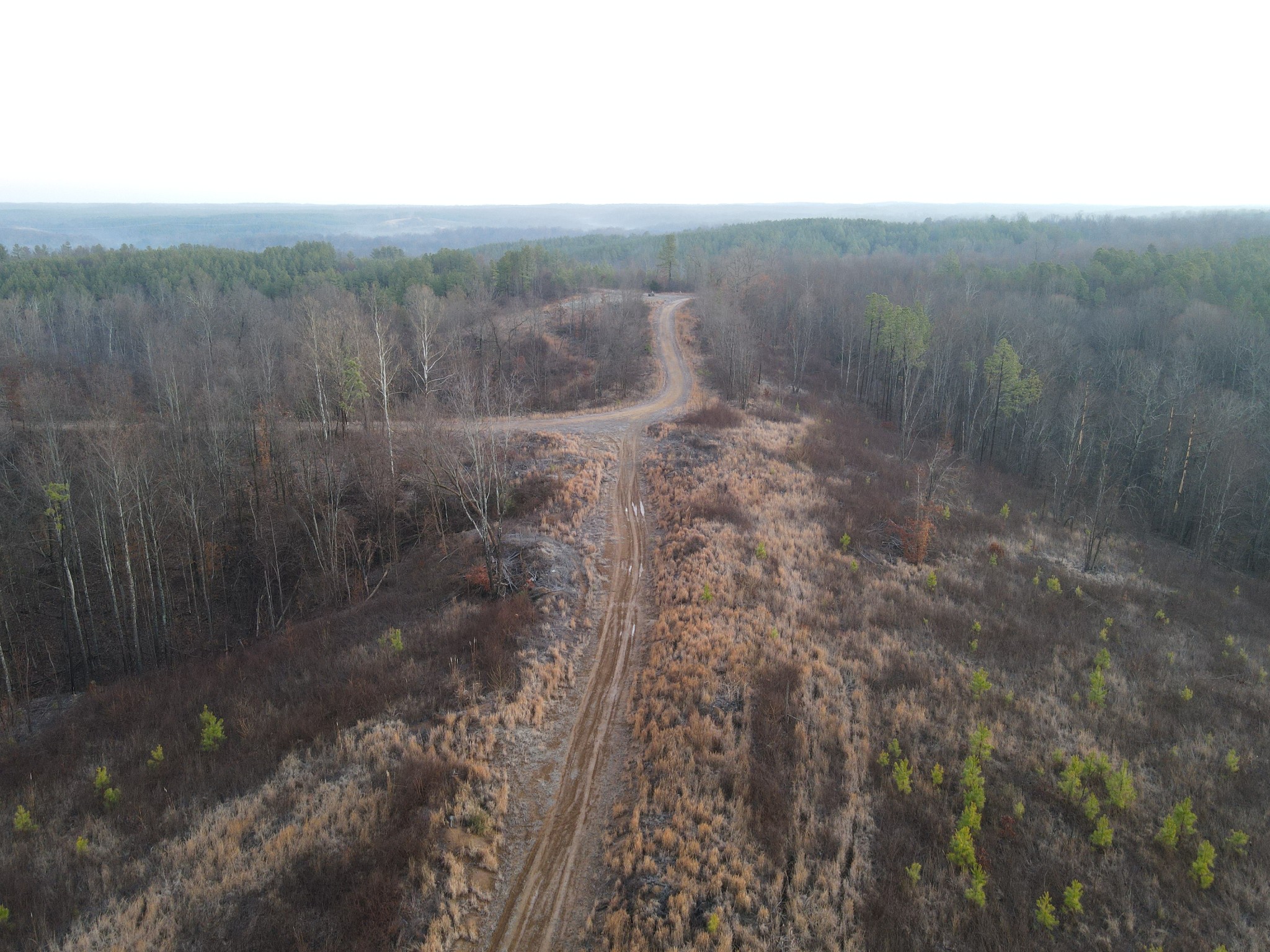 0 North Fork Stewart TN 37175