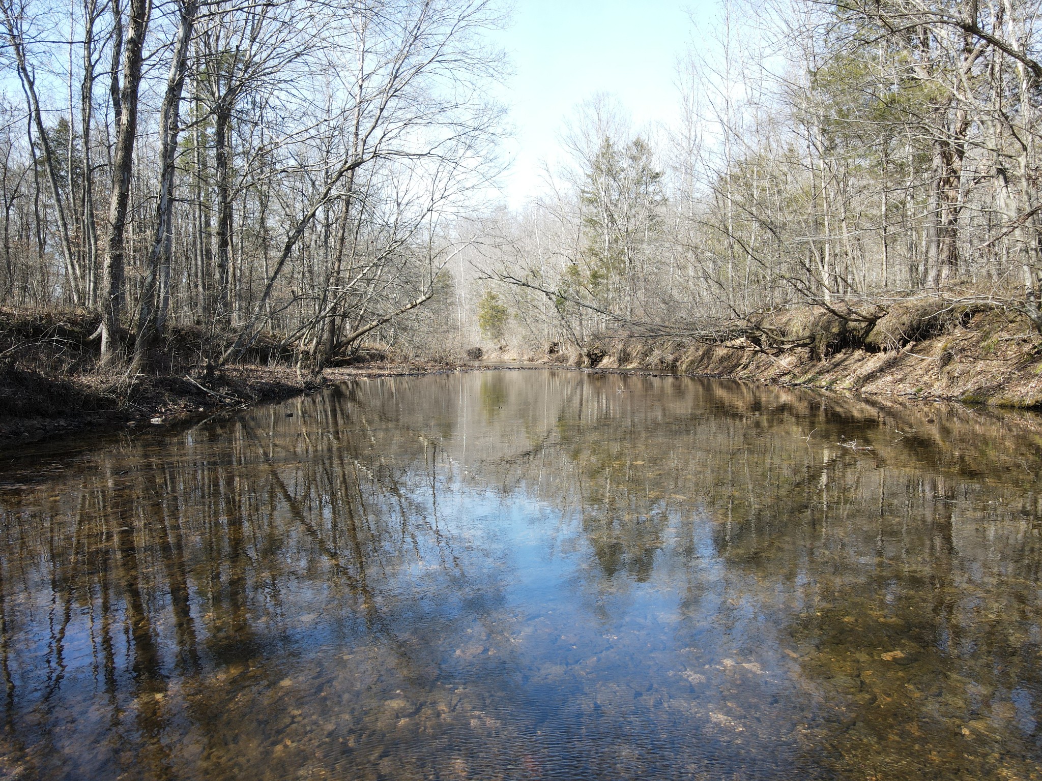 0 North Fork Stewart TN 37175