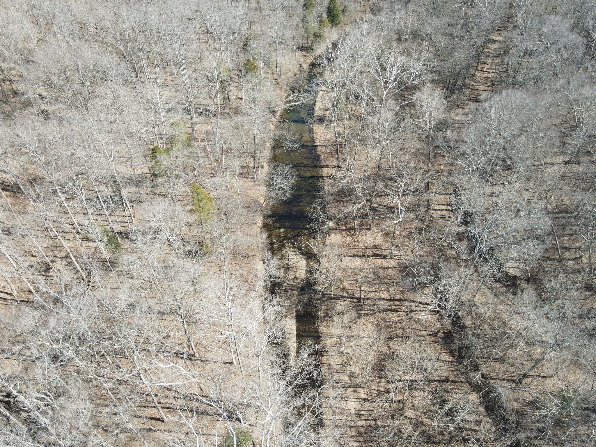 0 North Fork Stewart TN 37175