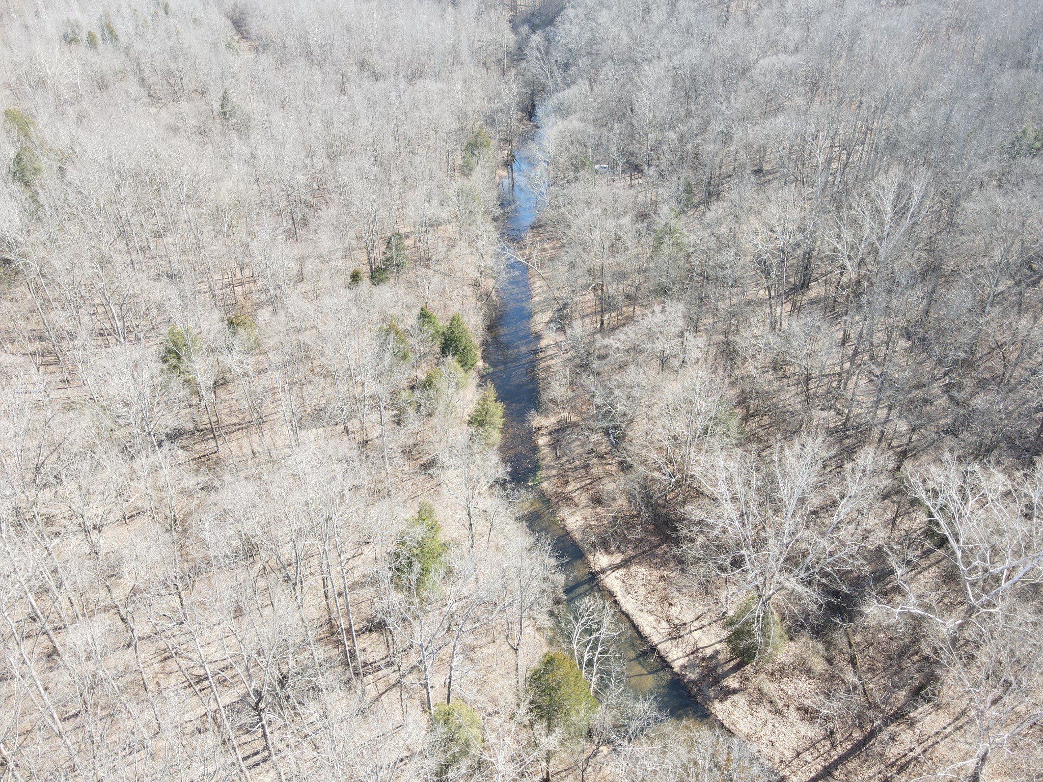 0 North Fork Stewart TN 37175