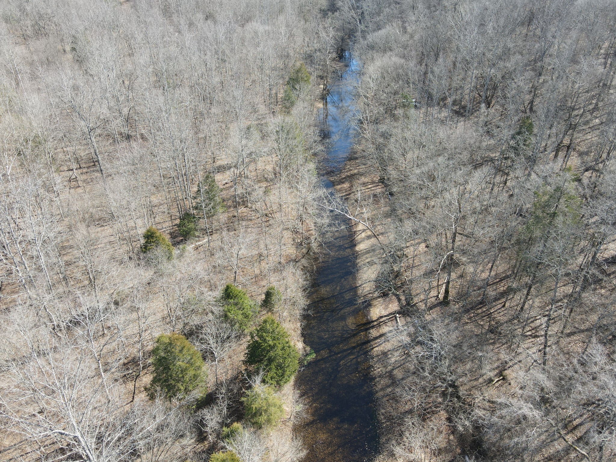 0 North Fork Stewart TN 37175